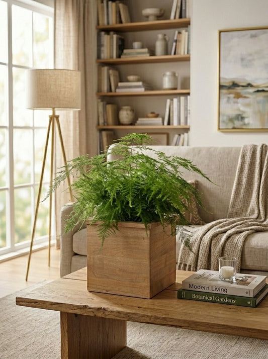 Macetero de Raulí | Terminación Natural Mate